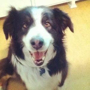 Meet your Posher, Ginny